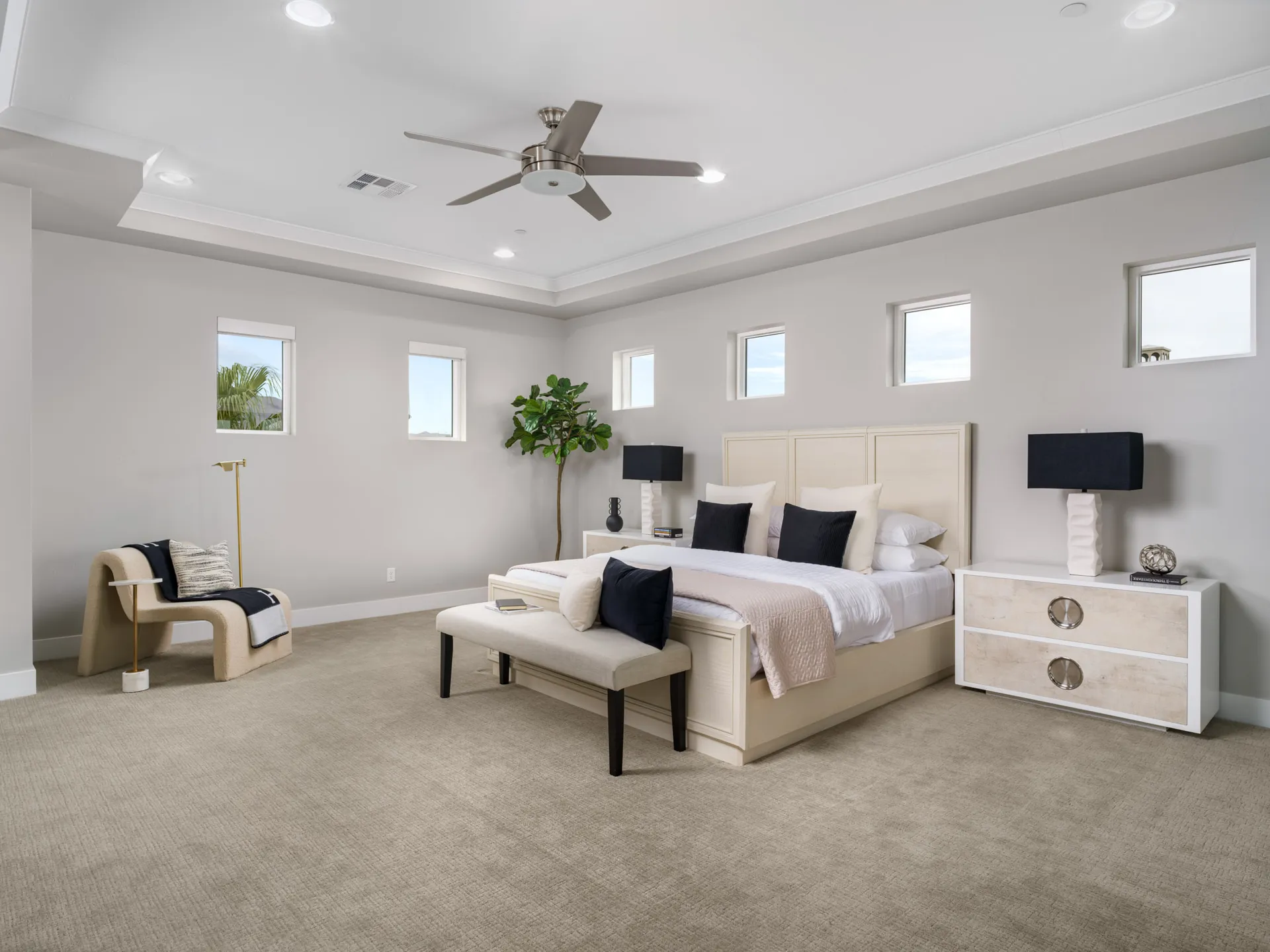 Magnifico Cir. — photo 3