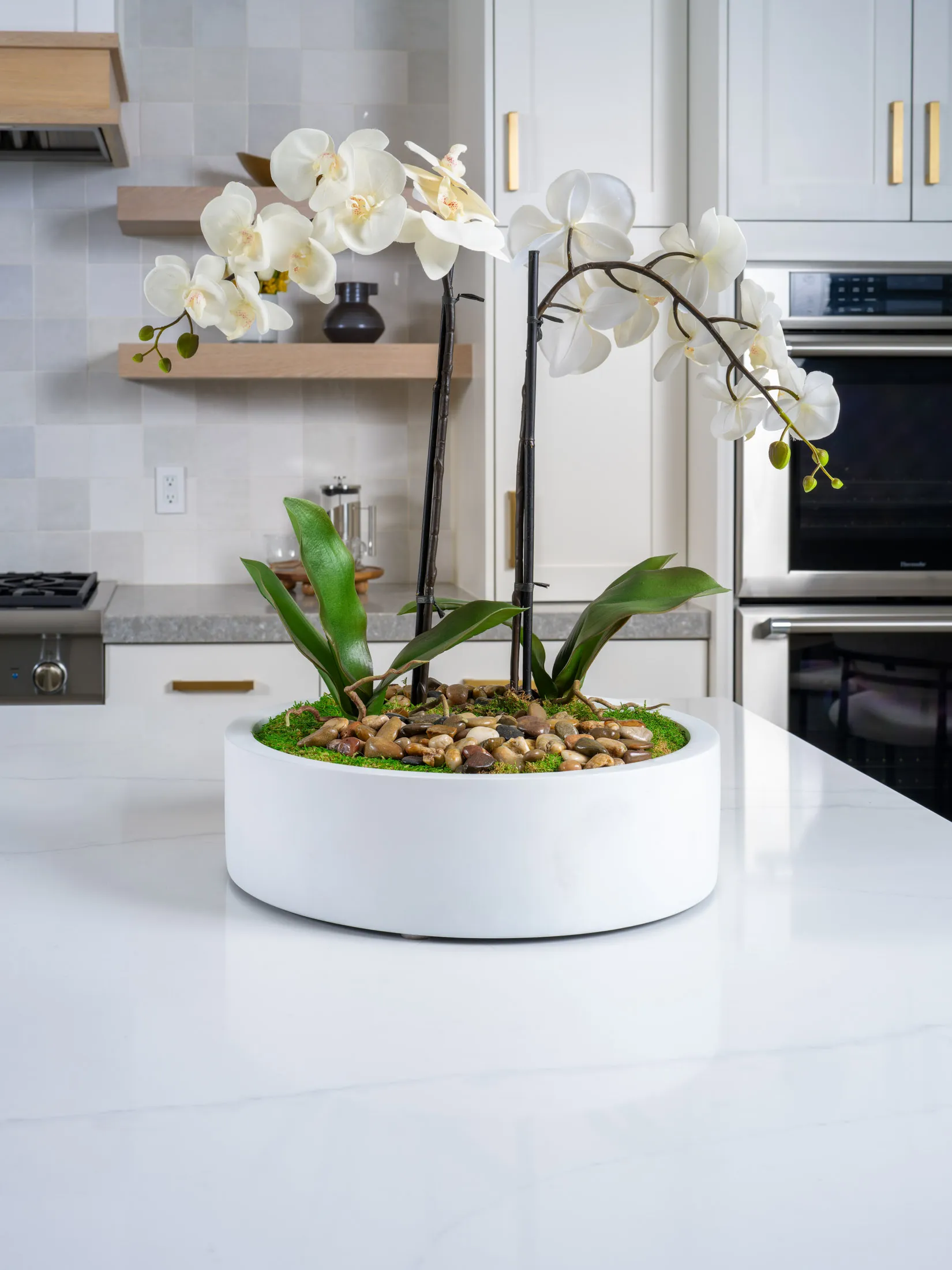 Magnifico Cir. — photo 40